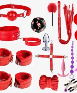 15 Pieces Set for Beginners BDSM Restraints Red