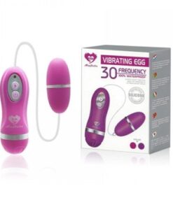 Sex toy Egg Vibrator