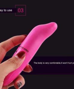 Dolphin Vibrator